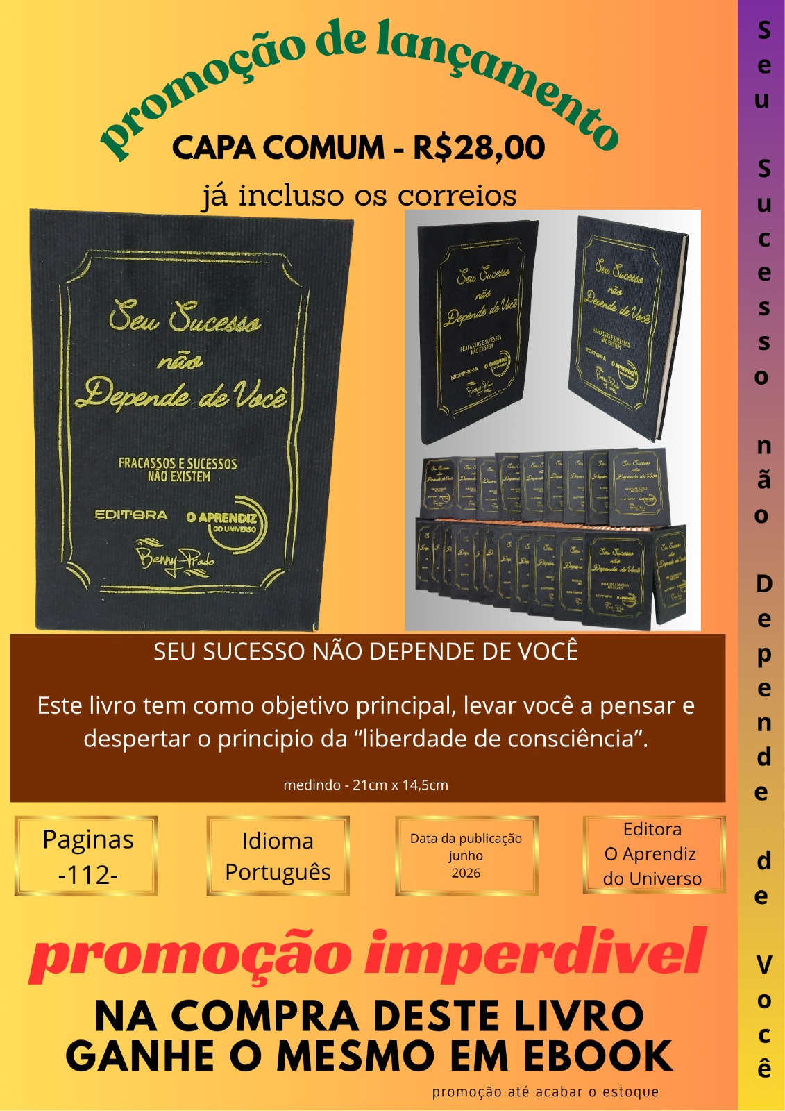 Seu sucesso não depende de você